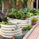 Vegetable planting box One meter vegetable garden metal planting box frame vegetable bed vegetable planting pot outdoor courtyard garden sun 4N1-17152*61*43cm bottomless other light green