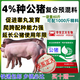 Zhengda 4% boar premixed boar special feed promotes estrus, breeding and farrowing, multi-land white three-element Duroc