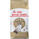 Royal Nanny Royal Cat Food Ragdoll Special Food RA32 Cat Main Food 2kg Nutritional Fattening Long-haired Cat Special 3210kg ra