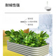 Vegetable planting box One meter vegetable garden metal planting box frame vegetable bed vegetable planting pot outdoor courtyard garden sun 4N1-17152*61*43cm bottomless other light green