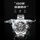 Riff Tiger (Riff Tiger) Vollautomatische mechanische Uhr Mode Multifunktional mechanisch wasserdicht