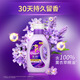 Jinfang Clothing Perfume Fragrance Fixing Softener Liquid Laundry Partner Lavender 2Jin Jin equals 0.5kg Early adopter anti-wrinkle color protection