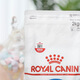 Royal Nanny Royal I27 Cat Food Indoor Adult Cat Food 2kg 10kg 17 Years Old Indoor Adult Cat Food Cat Main Food 10kg