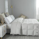 Hengyuanxiang Quilt Core Antibactérien Antibactérien Goie Velvet Couette blanche GOOSE VELVET CHAUD ANTI-DIAMOND VELVET AUTUM