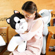 Magic Dragon Cute Sleeping Plush Toy Dog Doll Rag Doll Girl Sleeping Long Pillow Doll Cute Puppy Dog Rag Doll Birthday Gift for Girls Husky 60cm