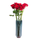 10 red single-headed roses