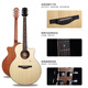 Trumon 280tf Bright Gitarre 1955tfl Dolphin Story Advanced Full Single Guitar 520TF Lost Cherry Gitarre 150TF Full Bright Wood Farbliste 41-Zoll-Originalmodell