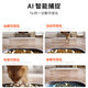 Xiaopei automatic feeder for cats, visual cat food, dog food, pet feeding machine, scheduled dual warehouse food delivery, solo feeder - visual version with video