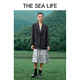 Die Sea Life Schashkragenanzug Jacke 2024 Frühlingstemperament mit vielseitigem XA15053 Alfalfa Grey M.