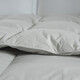 Hengyuanxiang Quilt Core Antibactérien Antibactérien Goie Velvet Couette blanche GOOSE VELVET CHAUD ANTI-DIAMOND VELVET AUTUM