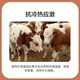 East China Zhengda 4% beef cattle and sheep premixed calf and lamb fattening cattle and sheep material to fatten and gain weight, pull the skeleton without diarrhea, 1 bag of beef cattle special material