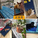 Tongrubi jaula de perros piso de piso de piso de plástico piso de plástico para mascota gato jaula de gato tablero goteo de piso de piso azul 12595 jaula con 4 piezas 90*30*3