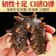 Royal Kirin Ready-to-eat sea cucumber Ready-to-eat Dalian sea cucumber single package Liao sea cucumber dry sea cucumber aquatic product gift box net content 500g 7A ready-to-eat sea cucumber 31-50 pieces/Jin Jin equals 0.5 kg Two Jin Jin equals 0.5 kg Best-selling pack