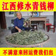 修水野生 青钱柳茶 清金钱 特级古树嫩叶 原叶 中老年 养生茶 半斤装原叶250克