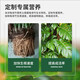 Shangyang Monstera's special nutrient soil 8L gardening flower soil nitrogen, phosphorus and potassium green plant potted organic compound peat planting soil