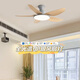Weather Vane (FXB) Nordic Full Spectrum LED Restaurant Fan Light Wohnzimmer Schlafzimmer Home einfache modern