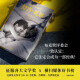 舒吉*贝恩（2020年布克奖大奖作品）97875447**844[英]道格拉斯*斯图尔特译林出版社