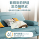 Pin Shang Kaidis modernes einfaches Multifunktionssofa Bett Dual-Purple-Falt-Sofa Bett Wohnzimmer Sofa kleine Wohnung Lazy Sofa [neuer Katze Kratzer Leder] Hellgrau farbenfrohe Schwammstil] 1,8 Meter lang 2 Handläufe 2 Taillenkissen