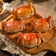 [Gift Certificate] Crab Head Crab Gift Card Crab Collection Coupon Crab Card Exchange Coupon Pickup Card Hairy Crab Voucher Type 698 Full Female Crab 2.0 Two Pack 8