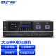 先科（SAST）PA-315V  功放机大功率家用KTV家庭影院卡拉OK家用客厅K歌音响音箱功率放大器【光纤同轴版】