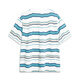 
Li Ning Li Ning men's summer training casual running short-sleeved sportswear comfortable T-shirt breathable and versatile cultural shirt AHST695 AHST695-3 stripes 3 L
