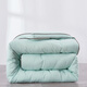Arctic velvet spring and autumn quilt thickened warm soybean fiber quilt winter quilt single and double quilt core winter light green 150x200cm/6Jin[Jin equals 0.5 kg]
