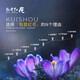 甄品岛 ZHENPDO【买花送种球】上海崇明特产藏红花 藏红花正品 特级藏红花西红花 优享体验装（量少 喝一周）
