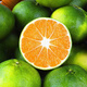 Yichang tangerine thin-skinned tangerine fresh fruit seasonal fruit for pregnant women 9Jin Jin is equal to 0.5 kg large fruit