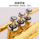 Jinbao trumpet instrument B flat adult children beginner performance grade exam brass nickel-plated Western wind instrument JBTR-050 68 brass Monel Piston