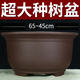 Extra-large purple clay flower pot planting old piles above 60cm super large wealth tree iron tree ceramic pot Purple clay x 854 medium size four