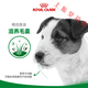 皇家狗湿粮奶糕软罐头小型幼犬成犬狗狗罐头主食级湿狗粮全价 中型犬MEPW】主食粮-幼犬湿粮100 g 单包净含量