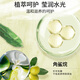 丝蕴（syoss）洗发水角鲨烷水润顺滑洗发露680ml 补水改善毛躁无硅油洗头膏
