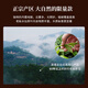 华祥苑乌龙茶国缤茶 武夷正岩老枞水仙特级125g中火茶叶礼盒送礼