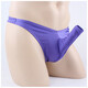 ROSELEX private delivery sexy men's sexy underwear men's thong underwear fully transparent T-pants passion purple one-size-fits-all with J sleeve front opening elephant trunk men's T-pants thong