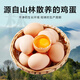 Local eggs, grain-fed, farm-raised fresh eggs, about 40g, breakfast Jingdong fresh soft-boiled eggs, 2 pieces 40-50 Local eggs, grain-fed, farm-raised fresh eggs, about 40g, breakfast Jingdong fresh soft-boiled eggs, 2 pieces 40-50