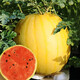 Dayu Yellow Heart Watermelon Seeds Complete Collection Early Maturity Yellow Skin Red Flesh Yellow Flesh Special Xiaofeng Watermelon Seeds Southern Fruit Futian Jinlinglong Watermelon Seeds 30 Simple Packs