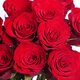 10 red single-headed roses