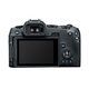 Canon EOS R8 full-frame mirrorless digital camera, single body (approx. 24.2 million pixels/small and lightweight)