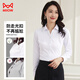 Catman shirt women's V-neck long-sleeved white blouse spring and autumn professional commuting workwear formal shirt white 37