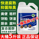 Hengkun em compost fermentation bacteria liquid organic fertilizer starter fermentation bacteria fermentation powder bacteria chicken manure cow manure fermentation 5Jin Jin equal to 0.5 kg / barrel can ferment 5000Jin Jin equal to 0.5 kg Materials