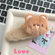 Plush Bear Rabbit Hair Clip Women's Autumn and Winter Side Bangs Clip Cute Children's BB Clip Girls Hair Clip Hair Clip Headwear White Rabbit Clip + Brown Bear Clip