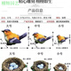 Phoebe gardening micro-landscape ornaments bird resin crafts cute simulated bird's nest gardening bonsai decorative bird eggs medium orange bird