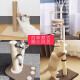 Tangqi Cat Climbing Frame Cat Rack Tongtian Pillar with Cat Nest Integrated Small Cat Scratching Post Cat Scratching Rack Cat Scratching Board Sisal Rope Grinding Claw Vertical Cat Funny Toy Necessary Cat Supplies for Cat Raising Gray Heightened Sisal Post