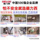 DELIXI DELIXI booster pump household water pump pressurization pump fully automatic water pump self-absorbing water heater 22 1390W stainless steel anti-freeze computer intelligent control + pressure
