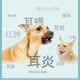 维克耳可舒耳肤灵耳螨猫狗耳朵清洁狗狗洗耳液耳炎猫耳洗耳马拉色菌 耳可舒10ml（真菌细菌）