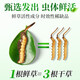 
Shengdikang Tibet 2025 Wild First Fresh Cordyceps Cordyceps Tonic Gift [SF Air Freight] 1.0g/root 10 packs