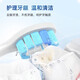 隽悦适配飞利浦电动牙刷头HX680J/HX680C/HX680P/HX682P/HX685T/HX684A替换头软毛 黑钻亮白型 6支 硬毛