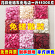 Chenbu artificial rose petals arrangement, wedding fake flower decoration, proposal, birthday confession, stage props, wedding hand-spreading flowers, burgundy 1Jin Jin is equal to 0.5kg, about 8000 pieces