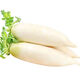 White radish, fresh in season, freshly dug, crispy, sweet and juicy, farm-grown and eaten raw, crispy, sweet and refreshing. White radish 5Jin Jin is equal to 0.5kg.