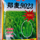 Zhengmai 9023 wheat seeds have short stems, large ears, early maturity, disease resistance, cold resistance and lodging resistance, and can be used as cat food. Zhengmai 9023 unpacked. Two Jin Jin equals 0.5 kg.